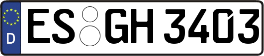 ES-GH3403