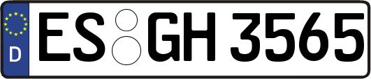 ES-GH3565