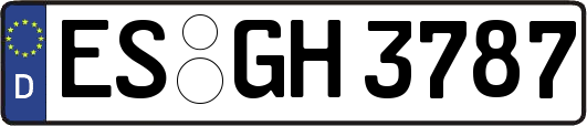 ES-GH3787