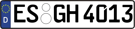 ES-GH4013