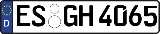 ES-GH4065