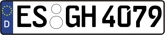 ES-GH4079