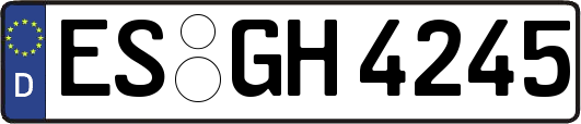 ES-GH4245