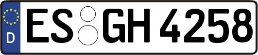 ES-GH4258