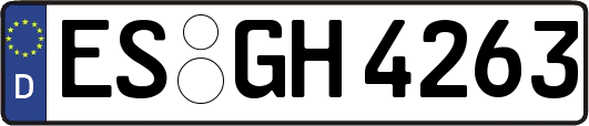 ES-GH4263