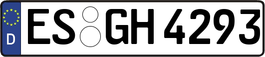 ES-GH4293
