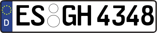 ES-GH4348