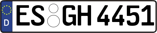 ES-GH4451