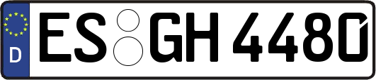 ES-GH4480