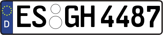 ES-GH4487