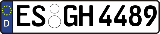 ES-GH4489