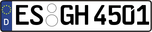 ES-GH4501