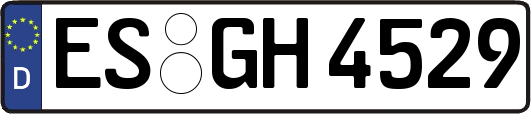 ES-GH4529
