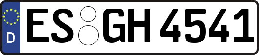 ES-GH4541