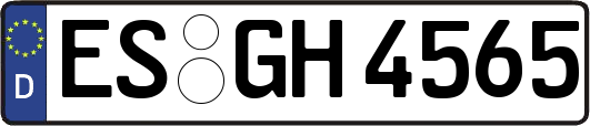 ES-GH4565