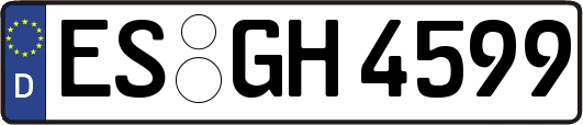 ES-GH4599