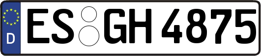ES-GH4875