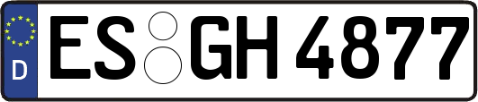 ES-GH4877