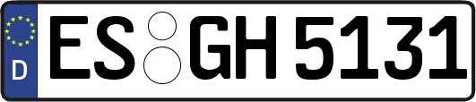 ES-GH5131