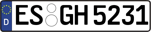 ES-GH5231