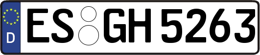 ES-GH5263