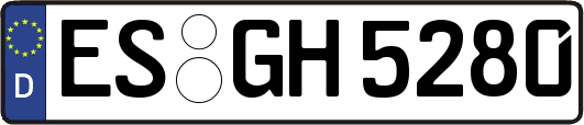 ES-GH5280