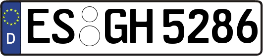 ES-GH5286
