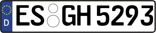 ES-GH5293