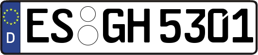 ES-GH5301