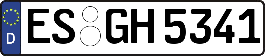 ES-GH5341