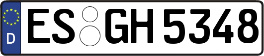 ES-GH5348