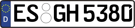 ES-GH5380
