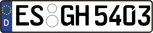 ES-GH5403