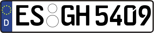 ES-GH5409