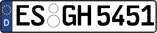 ES-GH5451