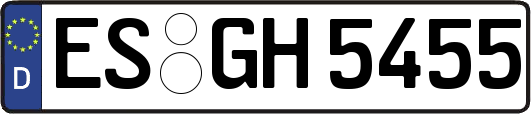ES-GH5455