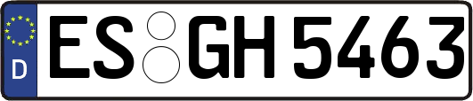 ES-GH5463