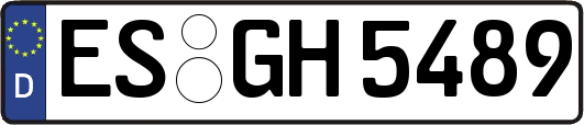 ES-GH5489