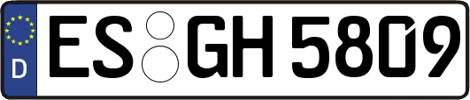 ES-GH5809
