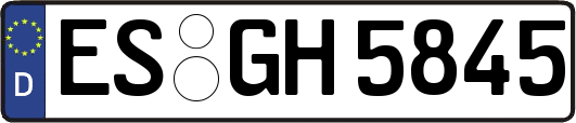 ES-GH5845