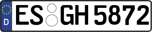 ES-GH5872