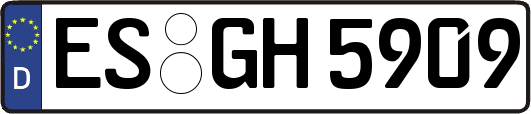 ES-GH5909