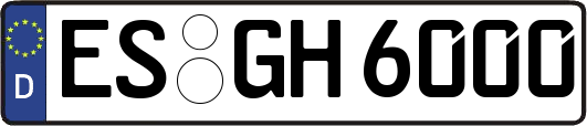 ES-GH6000