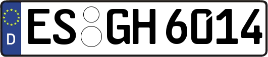 ES-GH6014
