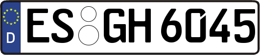 ES-GH6045