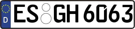 ES-GH6063