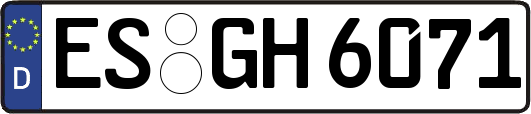 ES-GH6071