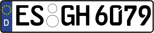 ES-GH6079
