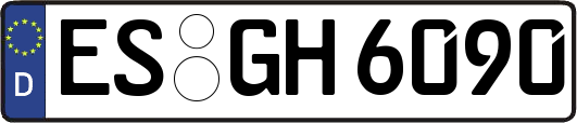 ES-GH6090