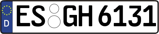 ES-GH6131